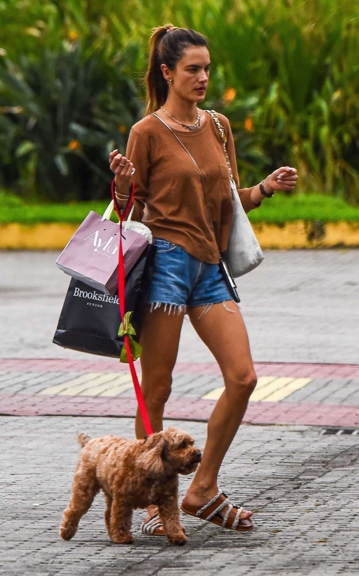 Alessandra Ambrosio in a Daisy Duke Shorts Walks Her Puppy Jojo in Florianopolis 07/23/2024