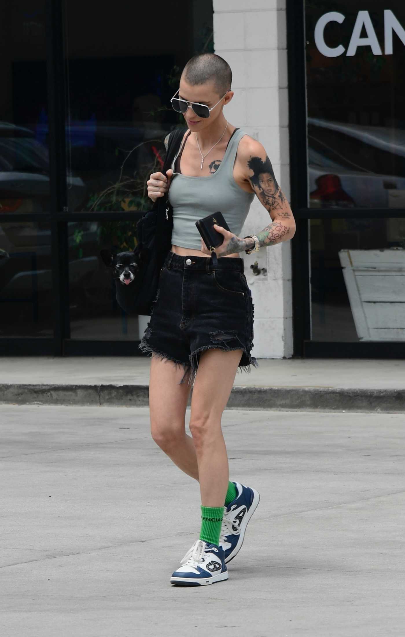 Ruby Rose in a Grey Top Was Seen with Her Dog in Los Angeles 08/02/2024