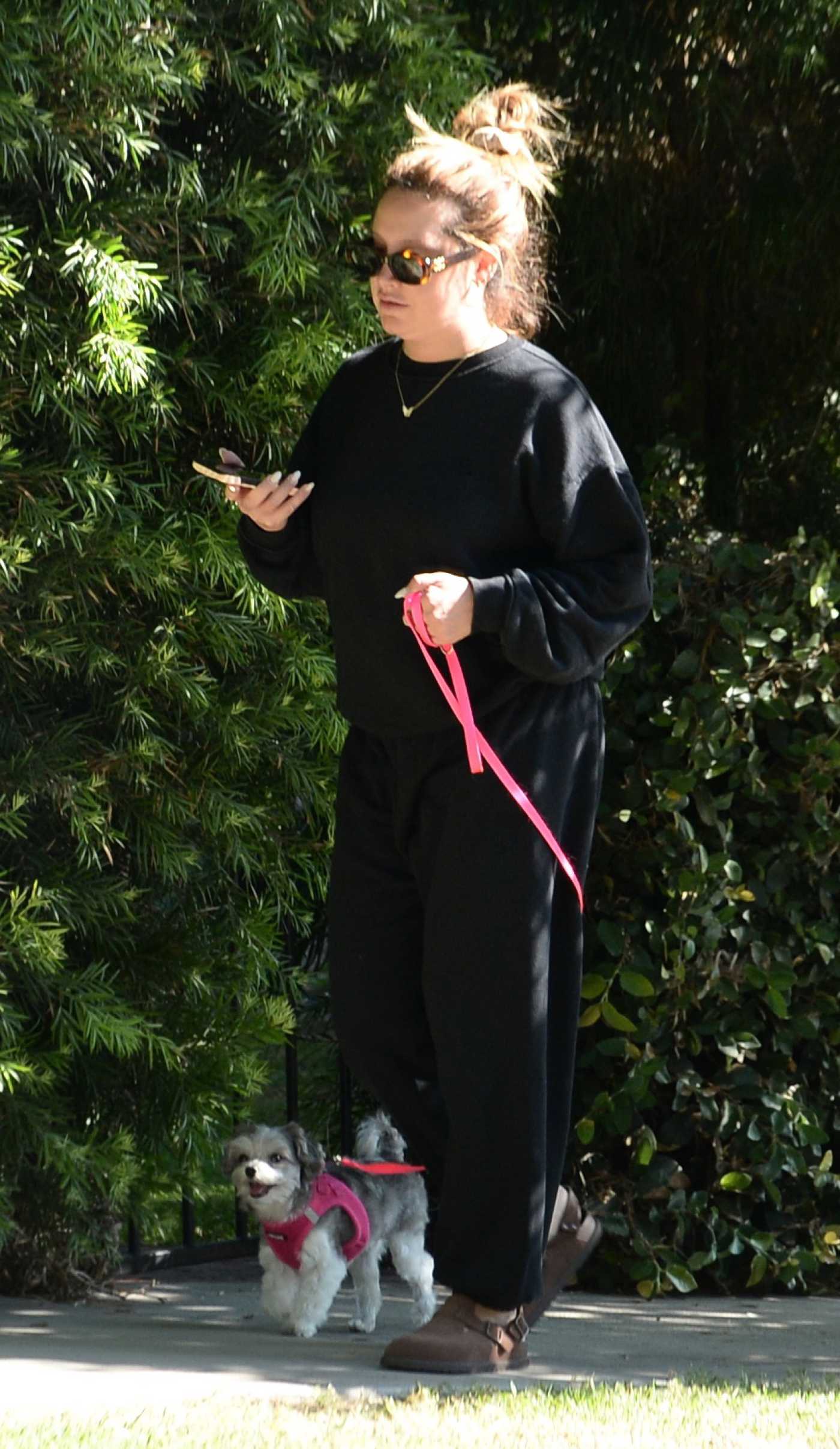 Ashley Tisdale in a Black Sweatsuit Walks Her Dog in Los Angeles 10/02/2024