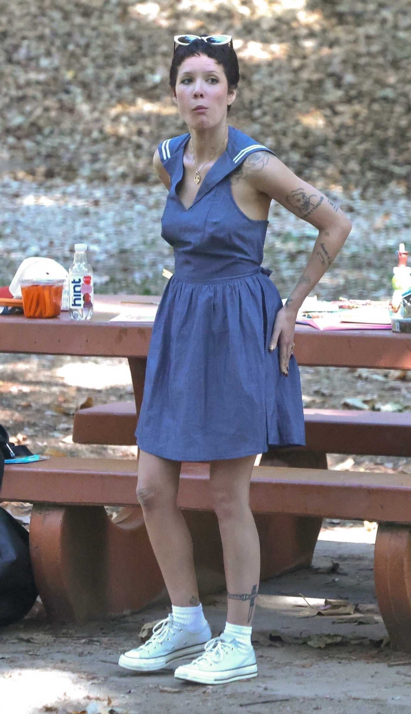 Halsey in a Blue Dress Enjoys a Laid-Back Picnic in Los Angeles 09/30/2024