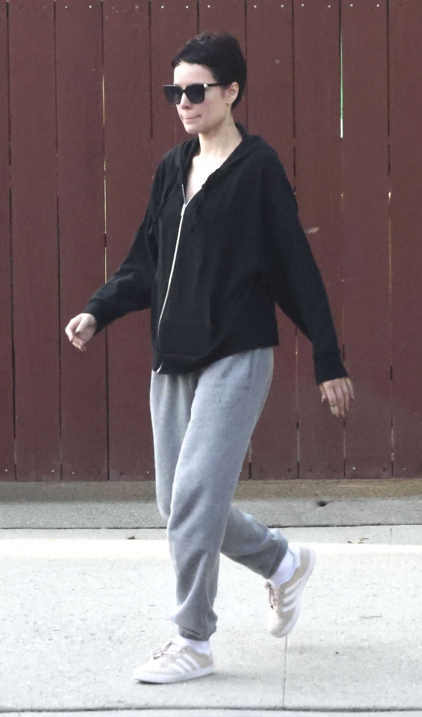 Halsey in a Grey Sweatpants Was Spotted Enjoying a Casual Walk in Los Angeles 10/08/2024