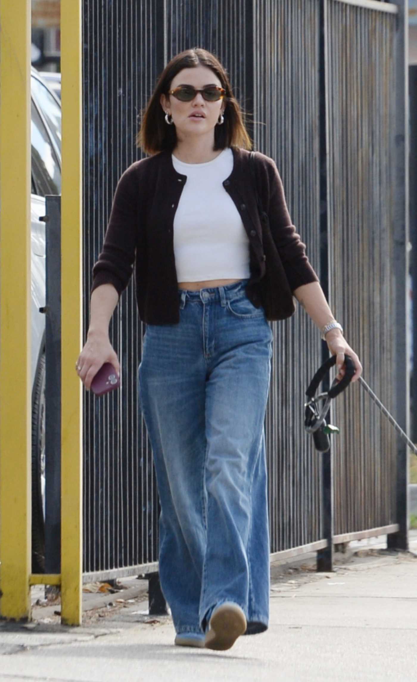 Lucy Hale in a Brown Cardigan Takes Her Dog for a Walk in Los Angeles 10/27/2024