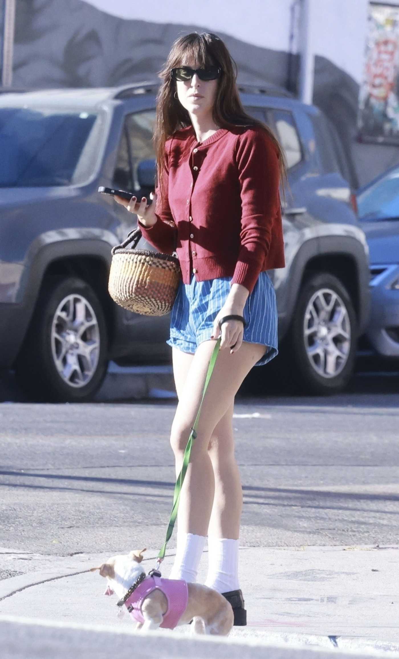 Scout Willis in a Red Cardigan Was Spotted on a Stroll with Her Dog in Los Angeles 11/04/2024