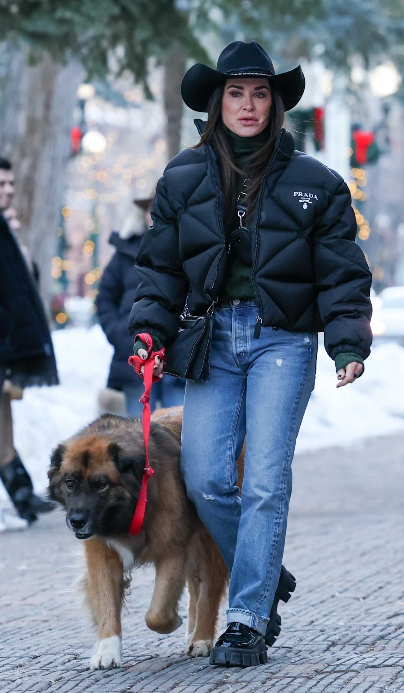 Kyle Richards in a Black Hat Walks Her Dog in Aspen 12/21/2024