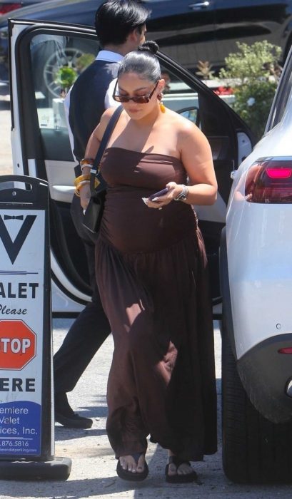 Vanessa Hudgens in a Brown Dress