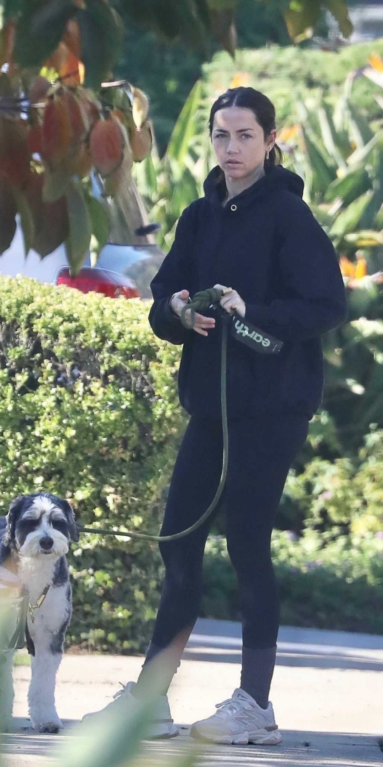 Ana de Armas in a Black Hoodie Walks Her Dog Wellington in Los Angeles 11/24/2025