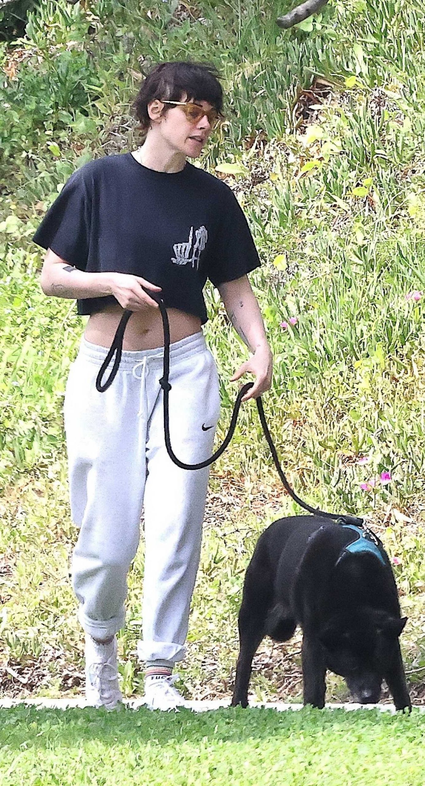 Kristen Stewart in a Black Cropped Tee Walking Her Dog in Los Feliz 03/04/2026
