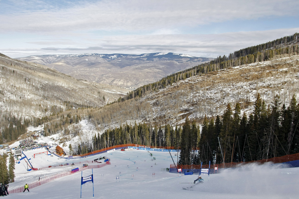 Mikaela Schiffrin – Celebrity Wiki -> onceleb.wiki