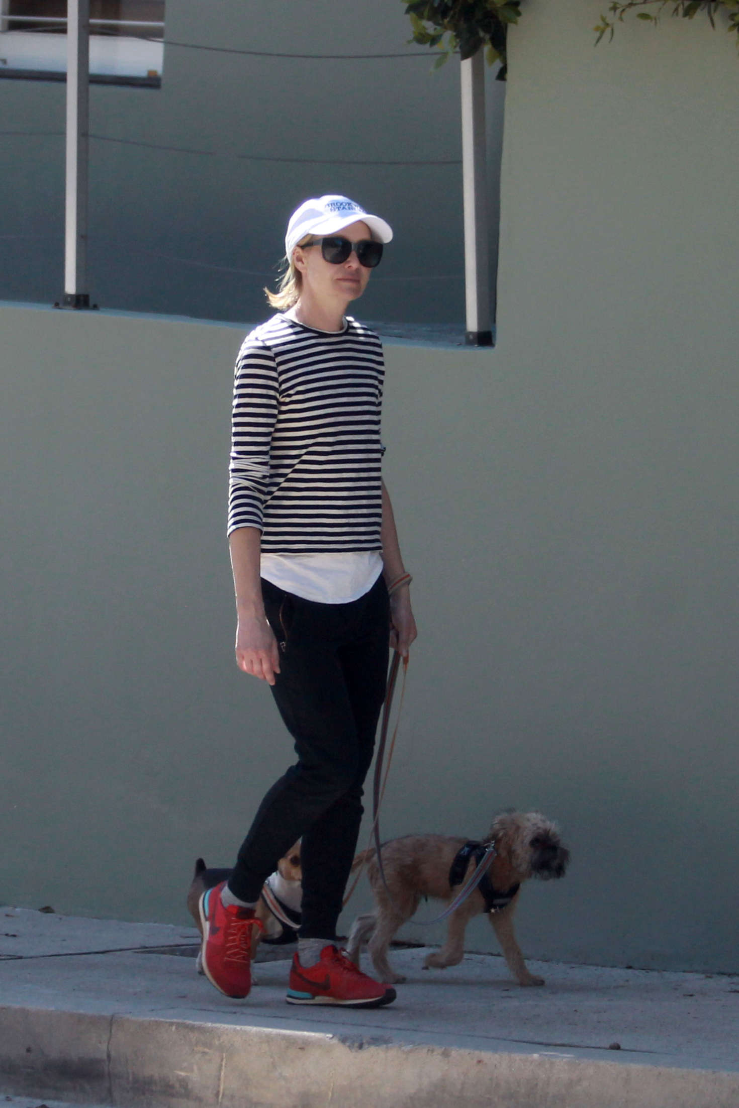 Portia De Rossi Walking her dogs in Los Angeles