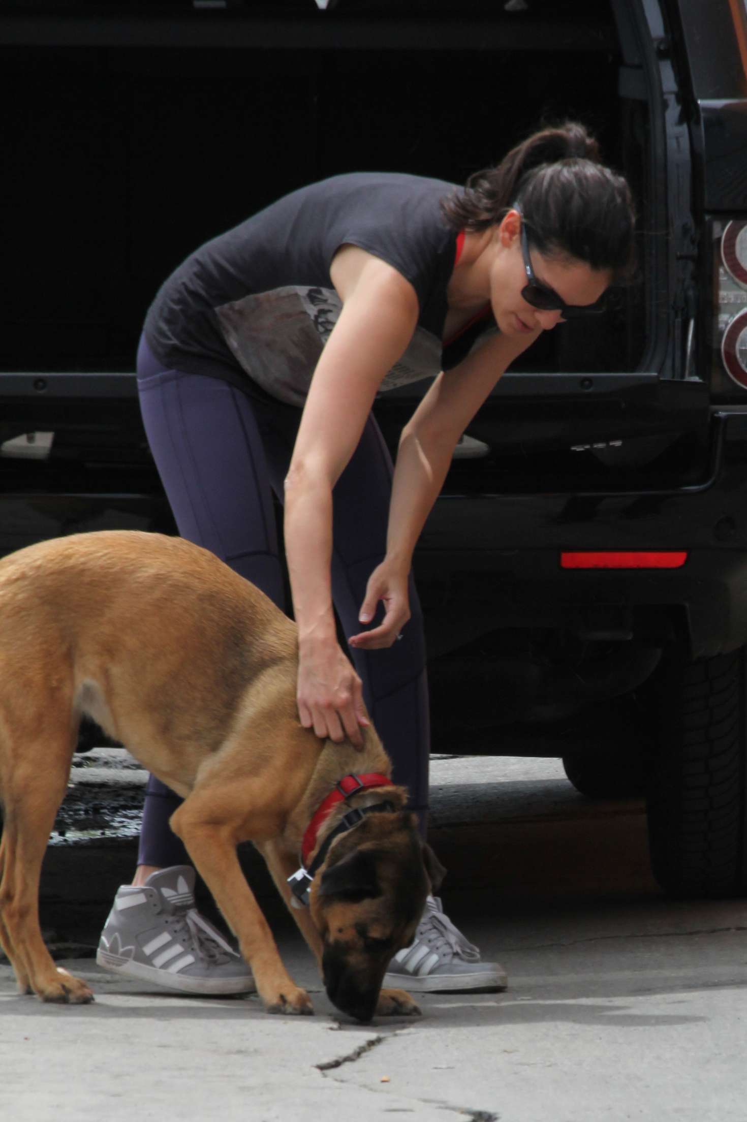 Daniela Ruah in tights at Los Angeles Dog Works