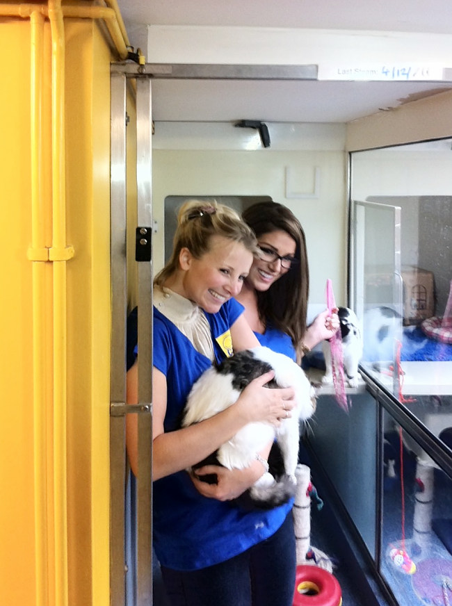 Lucy Pinder Visits Cats protection in North London