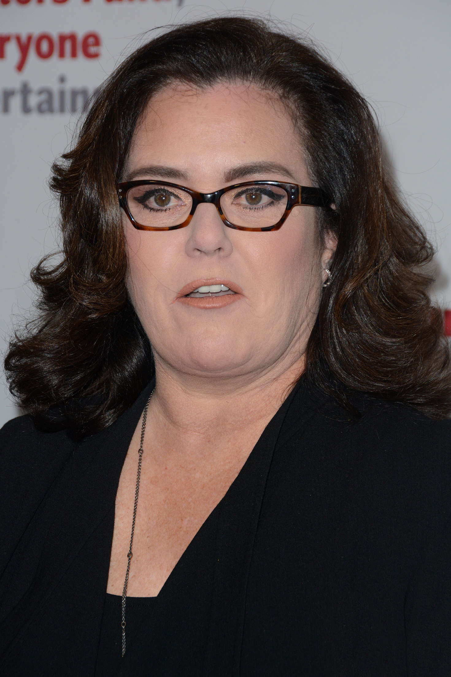 Rosie ODonnell The Actors Fund Gala in New York-1