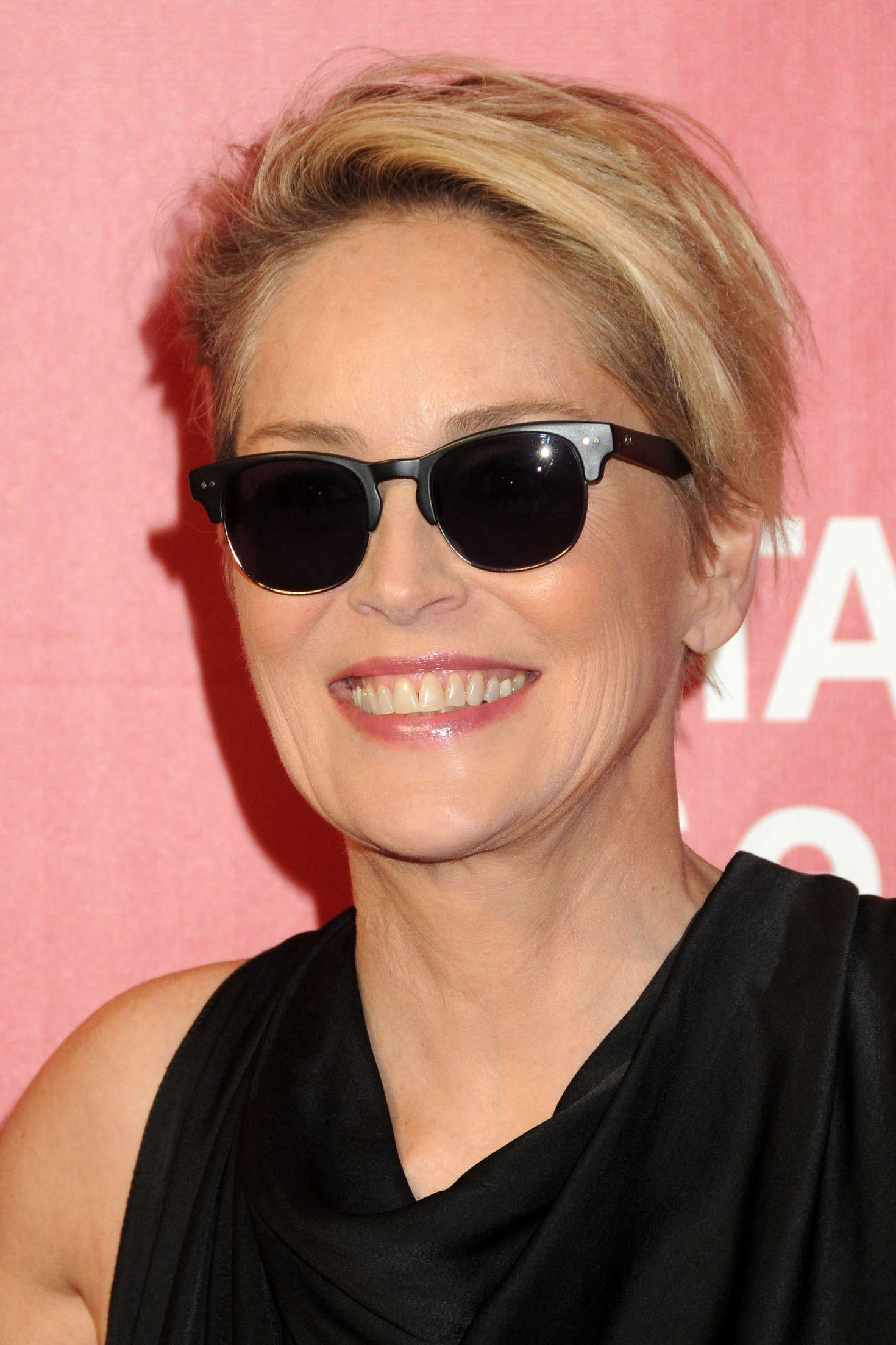 Sharon Stone – Celebrity Wiki -> onceleb.wiki
